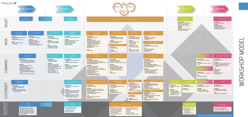 project and implementation model with activities